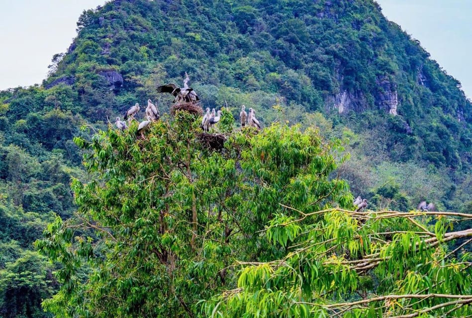 Ninh Binh: Ancient Capital & Pagoda 2-Day Tour - Day 2 Itinerary