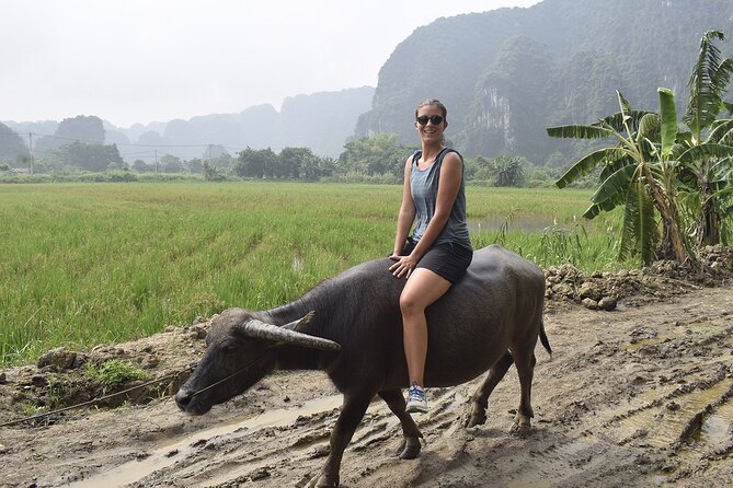 Ninh Binh Eco Group Tour - Buffalo Riding, Rice Planting, Fishing - Traveler Reviews