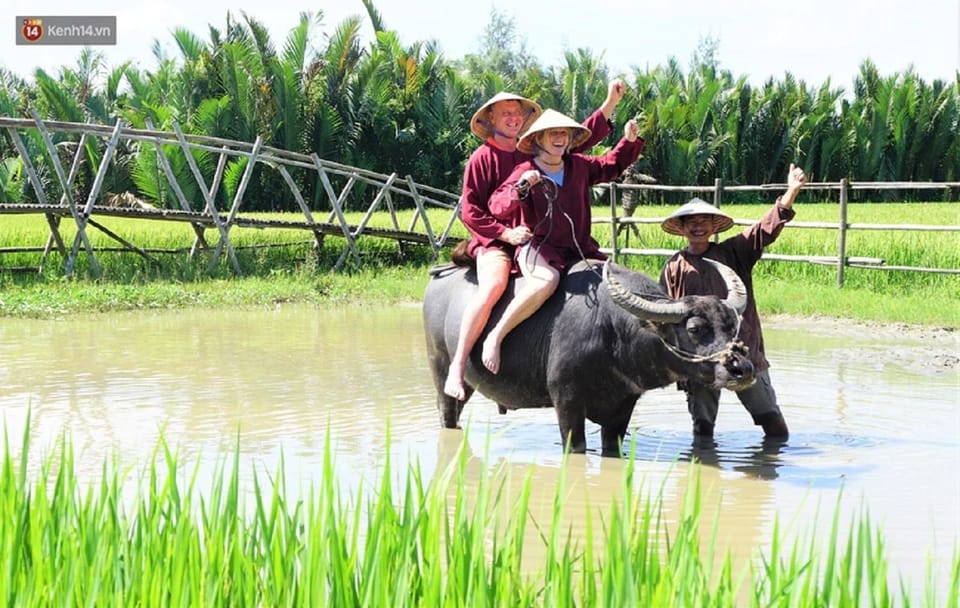 Ninh Binh Motorbike Tour - Cultural Experiences