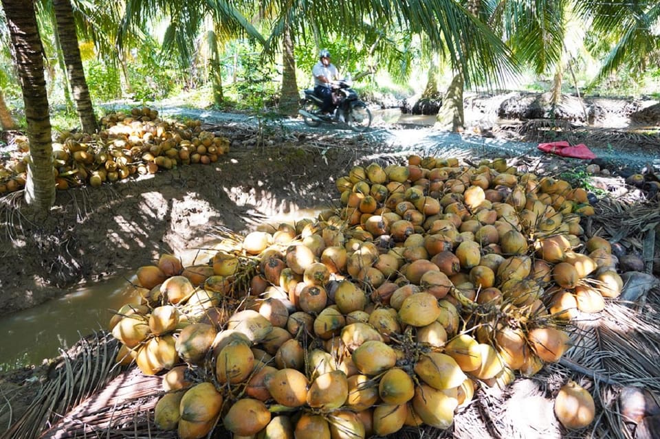 Non-Touristy: Mekong Delta Day Trip With Biking - Frequently Asked Questions