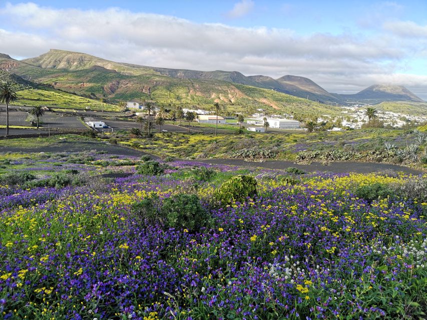 North Lanzarote: Cave, Jameos Del Agua, and Viewpoint - Pickup and Drop-off Locations