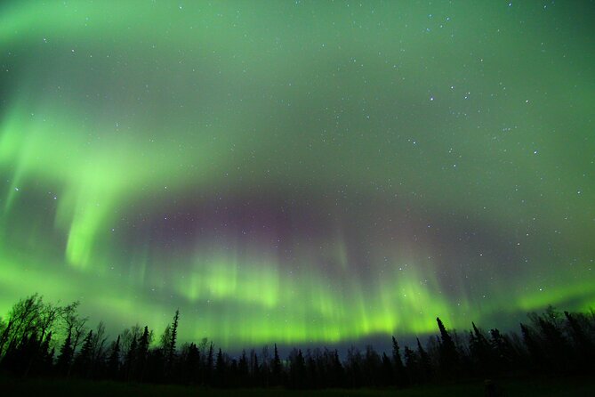 Northern Lights and Chena Hot Springs Night Tour From Fairbanks - Nearby Attractions and Activities