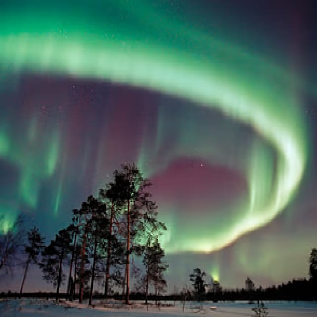 Northern Lights Hunting With Aurora Workshop - Amenities Included