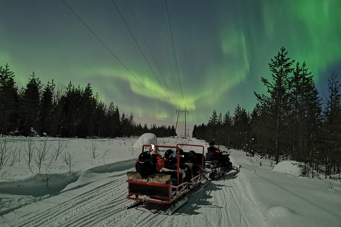 Northern Lights Sledge Ride - Booking and Cancellation Policies