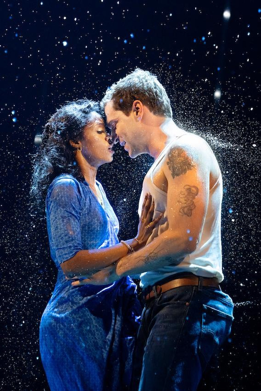 NYC: The Notebook on Broadway - Reviews From Critics and Attendees