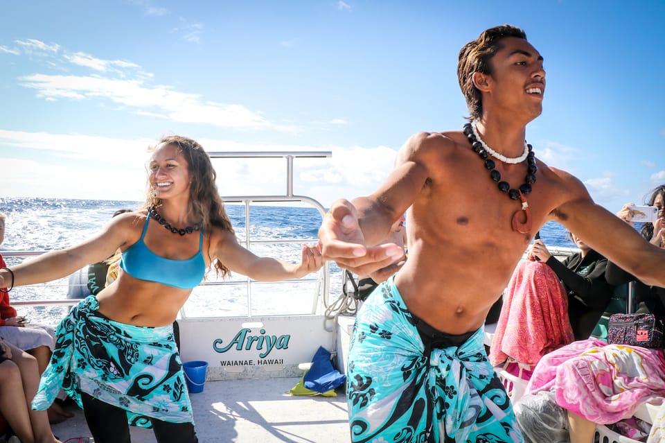 Oahu: Dolphin Watching With Lunch and Ocean Sports - Dolphin Watching Experience