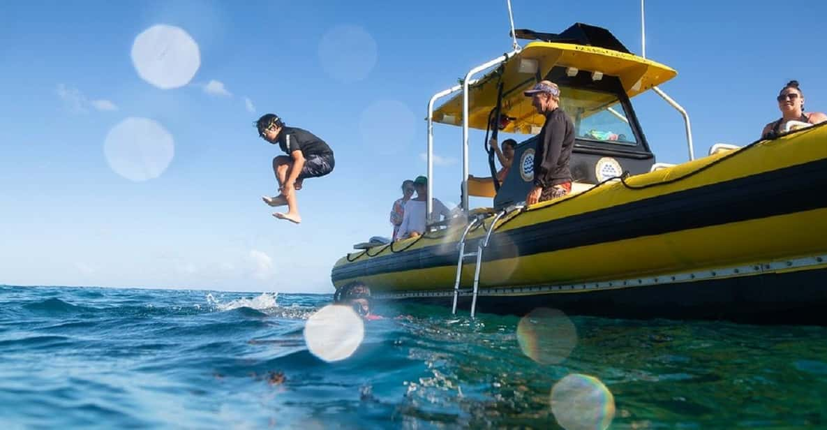 Oahu: North Shore Snorkeling Tour From Haleiwa - Exploring the North Shore