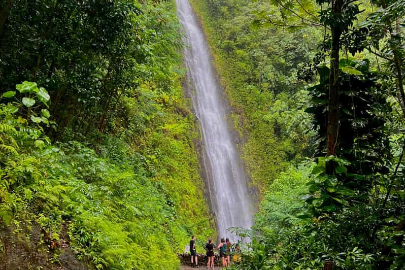 Oahu: Private Circle Island Tour Featuring Manoa Falls Hike - Additional Fees and Options