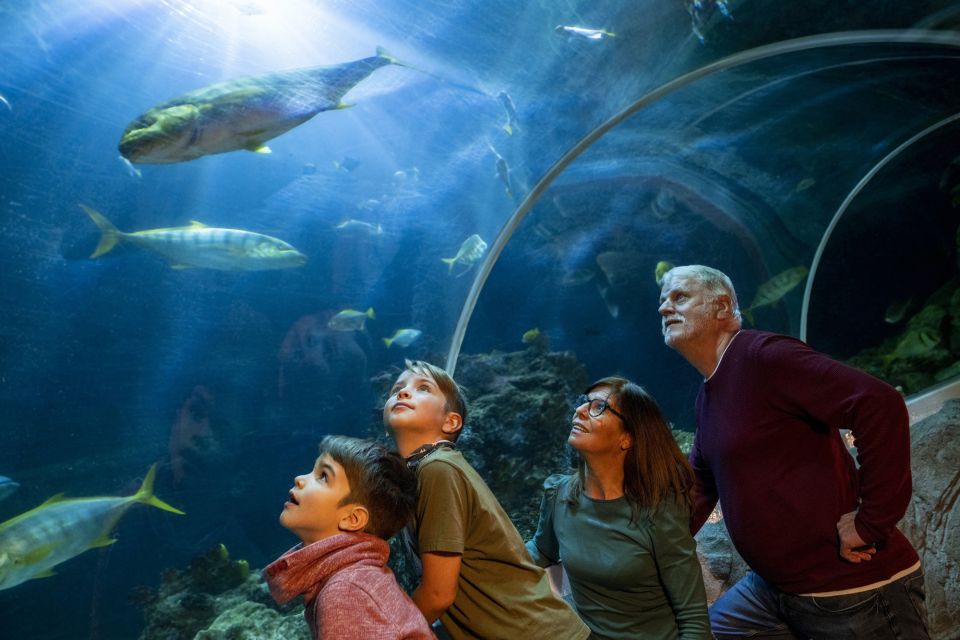 Oberhausen: SEA LIFE Ticket and Behind the Scenes Tour - Admission Inclusions