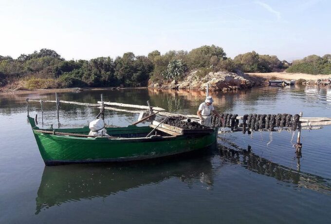 Olbia: Gulf of Olbia Boat Tour - Main Sites Explored
