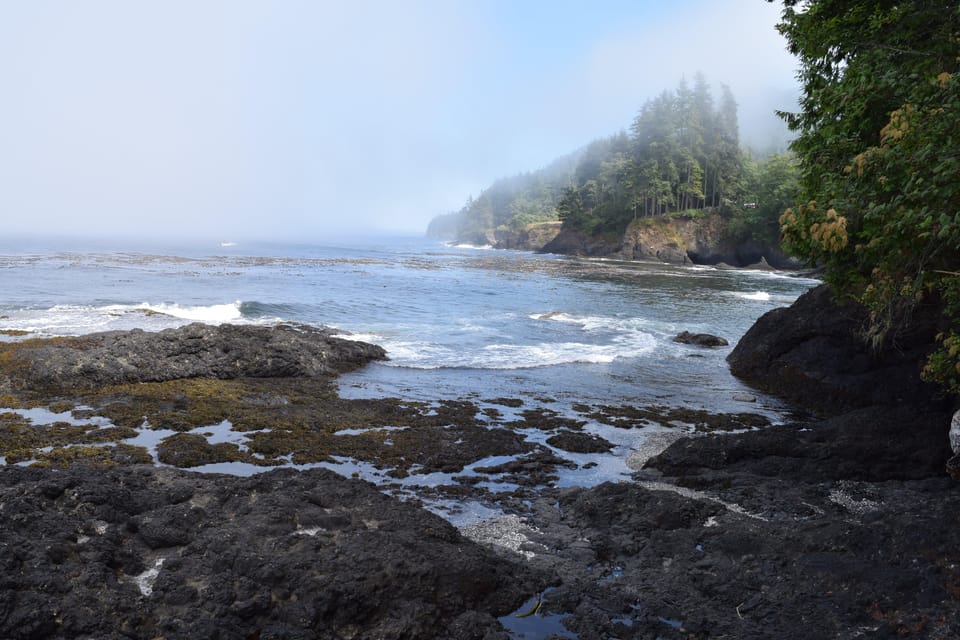 Olympic National Park: Half-Day Tour - Duration and Price