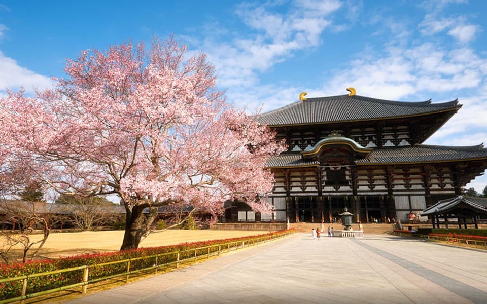 One Day Private Customized Self-Guided Tour in Nara - Booking Process