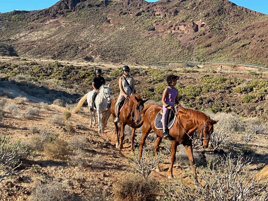 One Hour Horse Riding Tour in Gran Canaria - Customer Reviews