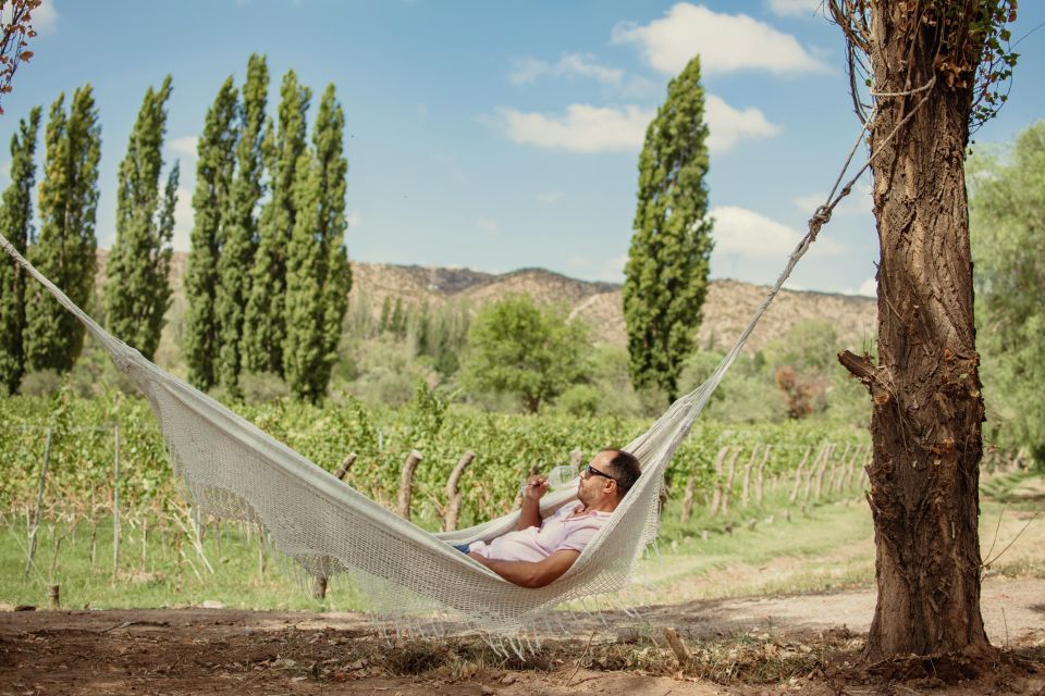 Organic, Biodynamic, and Experimental Adventure in Mendoza - Whats Included