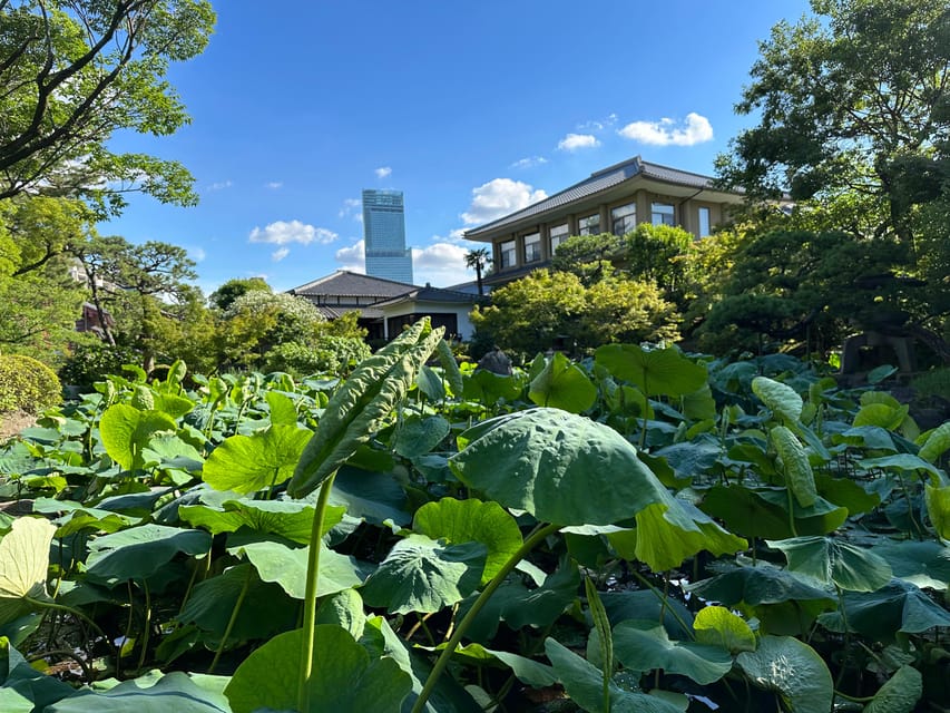 Osaka: Shitennoji, One of the Oldest Temples in Japan - Tour - Cultural Insights and Etiquette