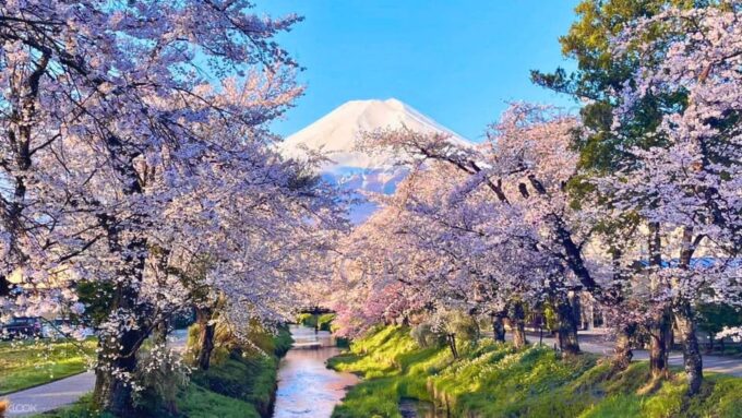 Oshino Hakkai, Ole Hot Spring in Mount Fuji One Day Tour - Reviews and Feedback