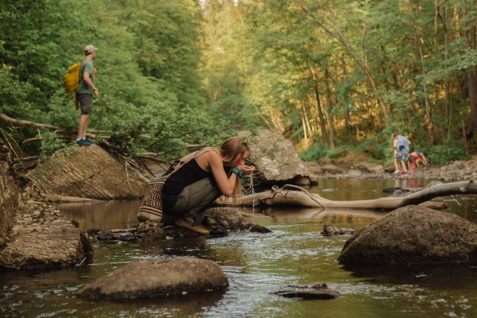 Oslo: Lysaker Wild River Walk - Accessibility Considerations