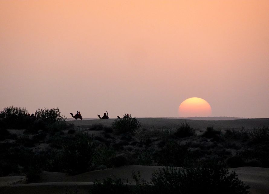 Overnight Camel Safari Non Touristic Deep Desert - Safety and Restrictions