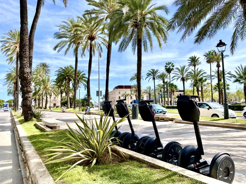 Palma De Mallorca: Sightseeing Segway Tour With Local Guide - Customer Reviews and Ratings