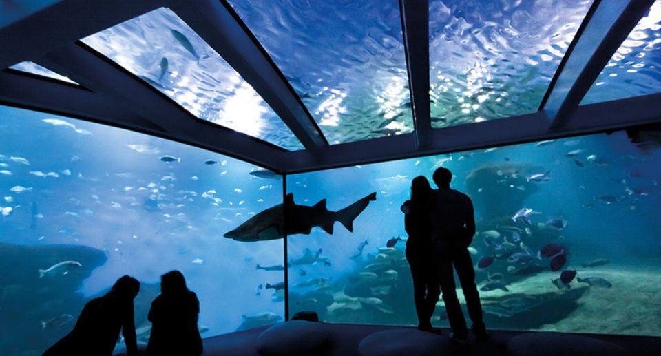 Palma: Palma Aquarium Ticket With Transfer Service - Expert-led Exhibits