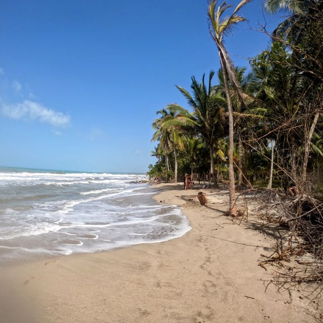 Palomino: Horseback Riding Tour on Palomino Beach - Frequently Asked Questions