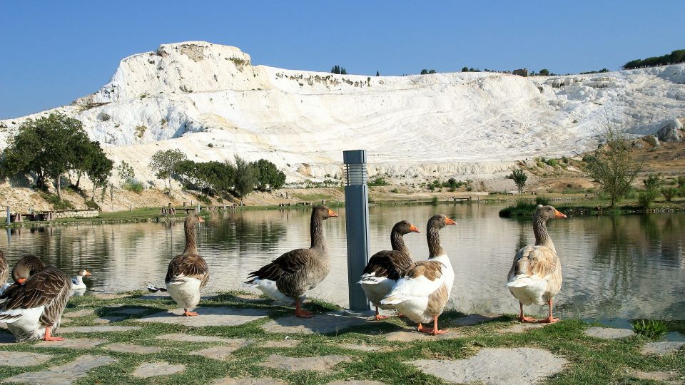 Pamukkale and Hierapolis: Full-Day Private or Group Tour - Booking Information