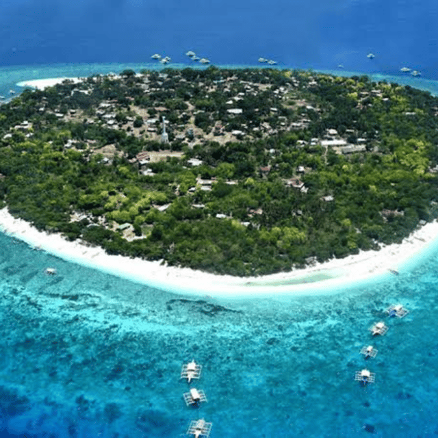 Panglao: Island Hopping W/Balicasag & Virgin Island (Shared) - Frequently Asked Questions