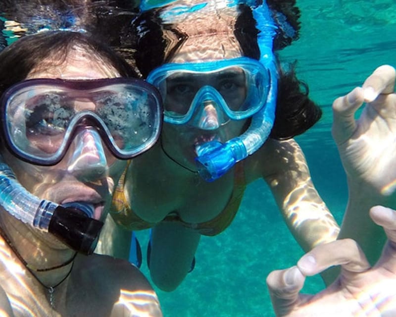 Panglao: Snorkeling at Napalingreef With Sardines Experience - Frequently Asked Questions