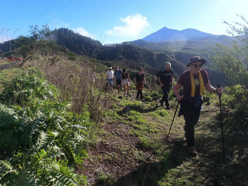 Panoramic Route: Altos De Masca - Getting to the Starting Location