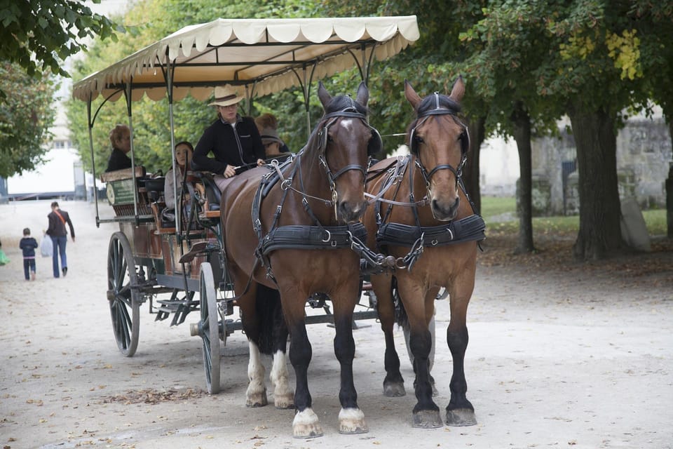 Paris:10H Private Tour for Fontainebleau,Versailles,Barbizon - Vehicle Capacity and Suitcases