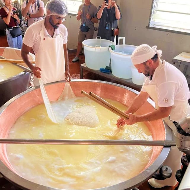 Parma: Cheese, Ham, & Balsamic Vinegar Tour With Tastings - Inclusions and Restrictions