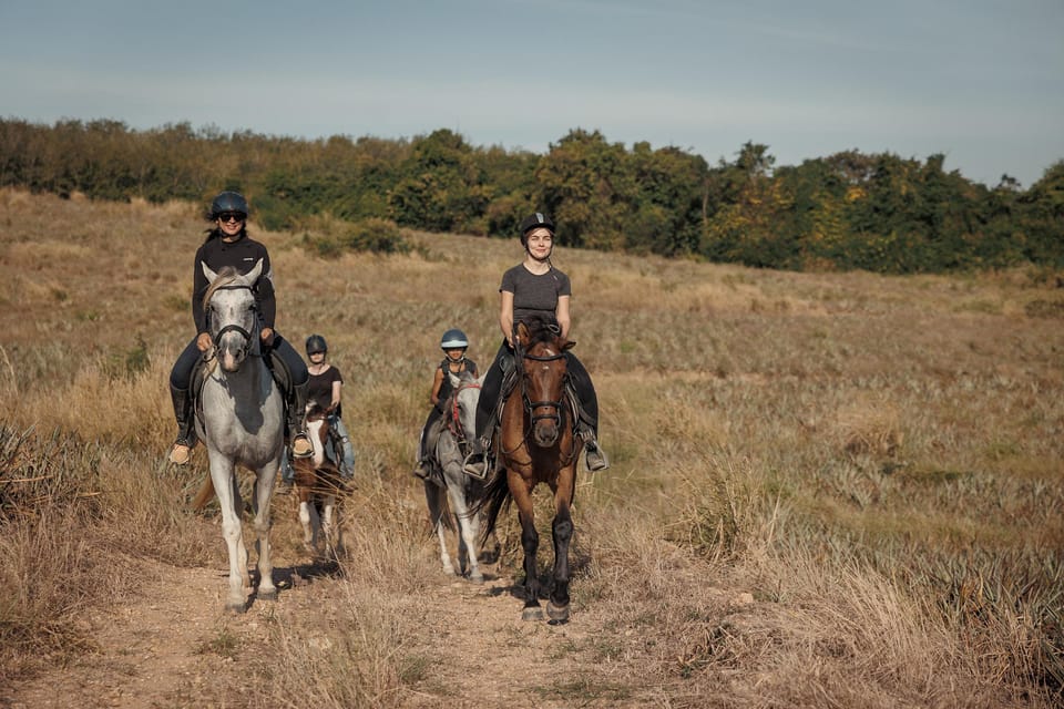 Pattaya, Thailand: Experience Scenic Horse Trail Riding - Scenic Trail Highlights