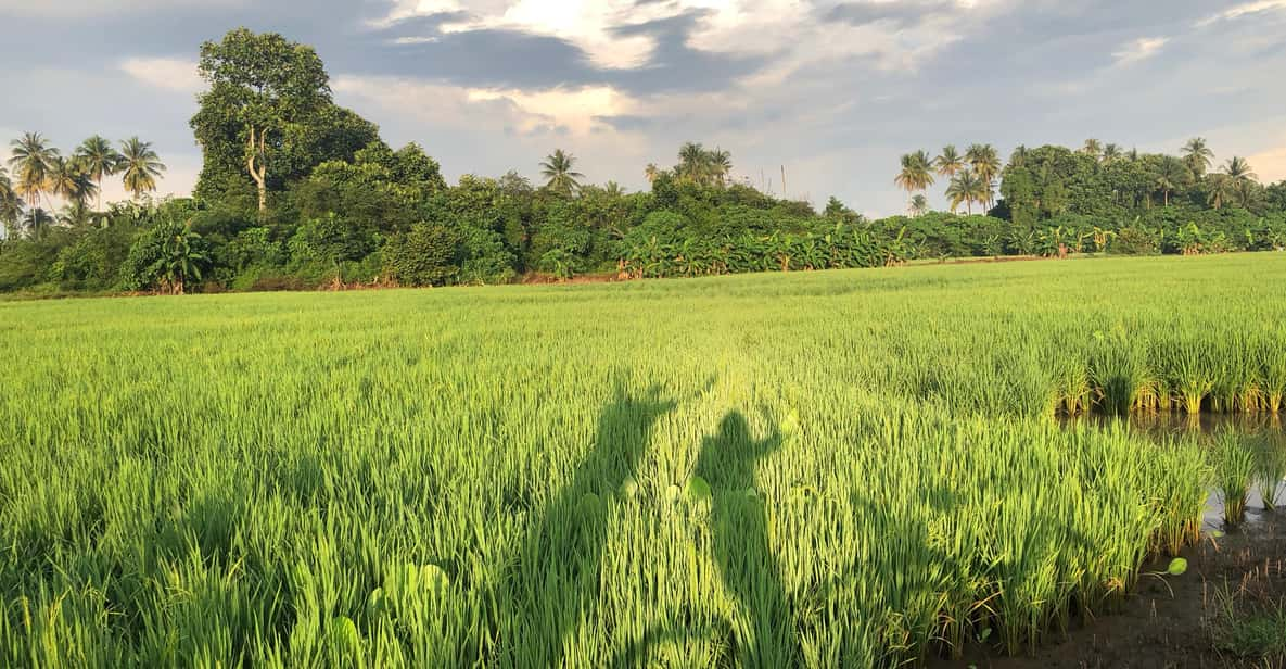 Penang: Balik Pulau Countryside Morning Cycling Tour - Recommended Items to Bring