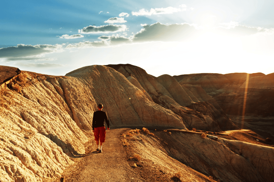 Petrified Forest National Park: Scenic Driving Tour - Painted Deserts Vibrant Badlands