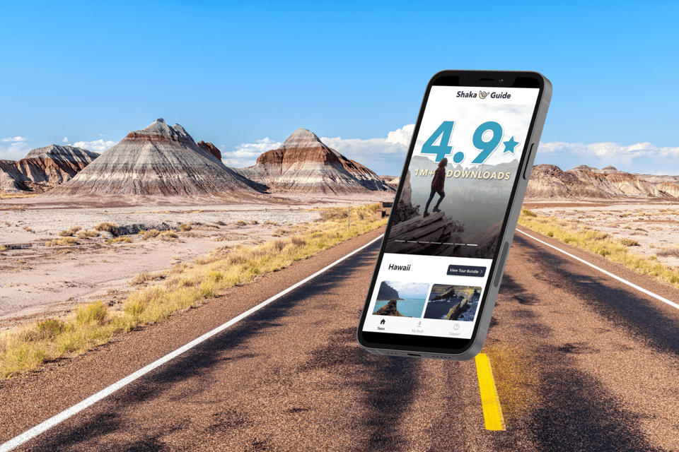 Petrified Forest National Park: Self-Guided GPS Audio Tour - Stargazing and Wilderness Preservation