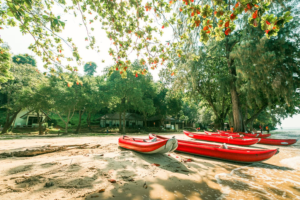 Phang Nga Bay: Full-Day Kayaking Tour by Boat From Phuket - Customer Reviews Snapshot