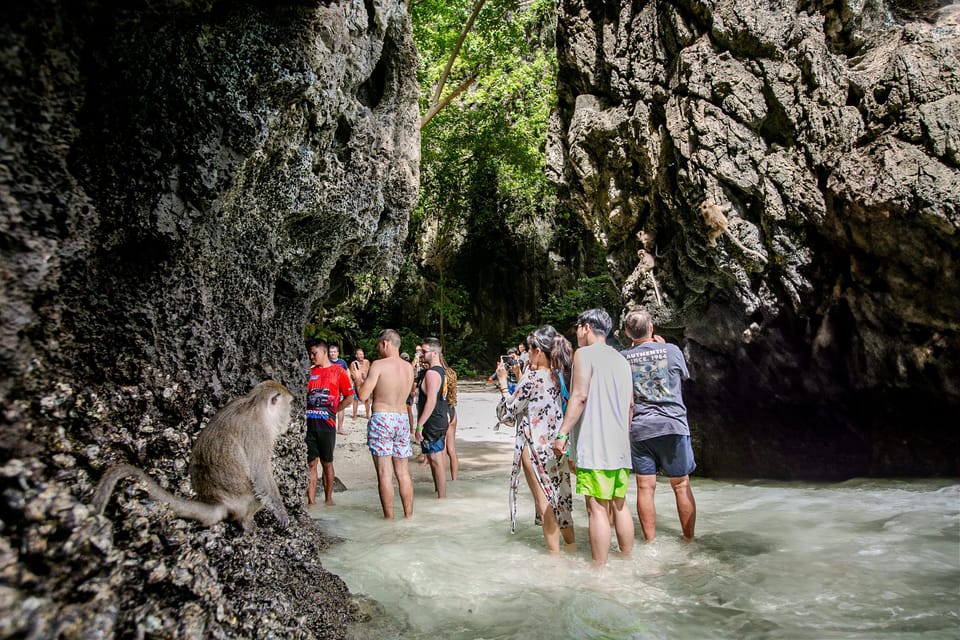 Phi Phi: 7 Island Tour by Longtail Boat - Encounter Monkeys at Monkey Beach