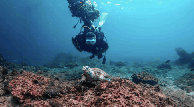 Phi Phi: Scuba Diving With Portuguese Speaking Instructor - Getting to the Meeting Point