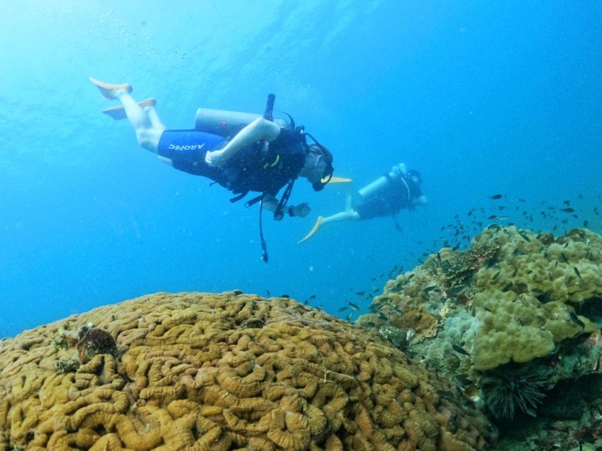 Phu Quoc: Scuba Diving Experience for All Levels - Customer Feedback