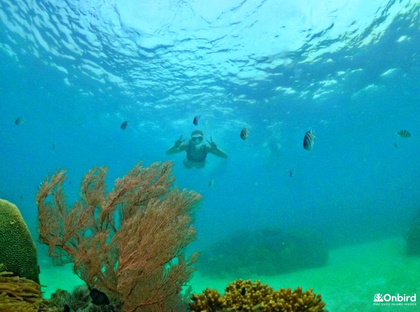 Phu Quoc Small-group Snorkeling to the Coral Jungle Reef - Safety Measures