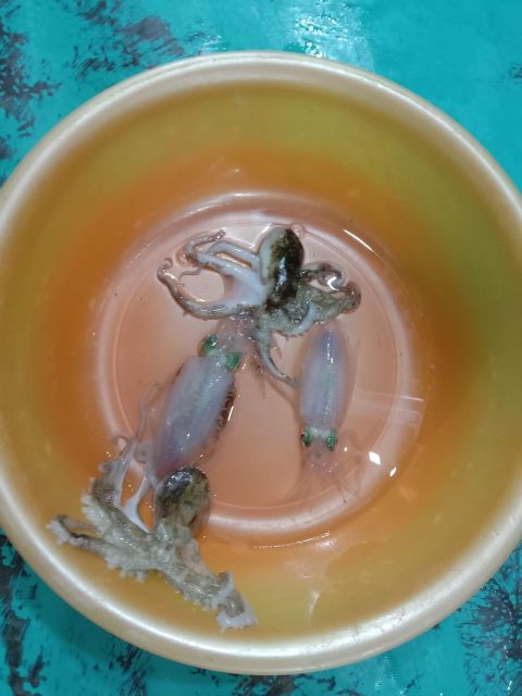 Phu Quoc: Squid Fishing Tour With Sunset Views & Dinner - Dietary Considerations