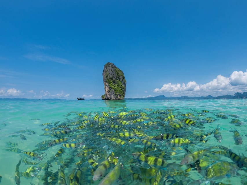 Phuket : Phi Phi Maya Bay & 3 Islands 7 Points by Speedboat - Inclusions