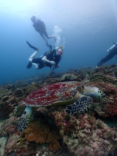 Phuket: Scuba Diving With Seawave Diving Center - Booking and Pricing