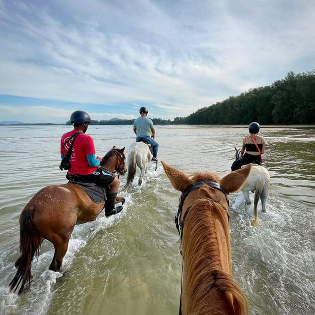 Phuket Sunset Beach Horseback Journey - Group Size and Languages