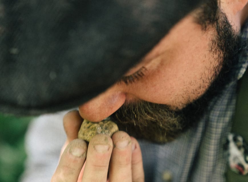 Pisa: Truffle Hunting in Tuscany With Tasting and Lunch - Lunch Experience