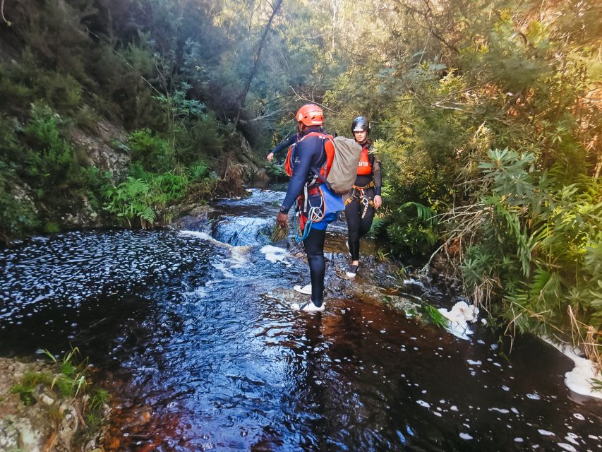 Plettenberg Bay: Canyoning Trip - Abseiling and Cliff Jumping