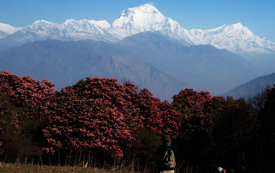 Pokhara: 2-Day Poon Hill Trek With Sunrise Views - Frequently Asked Questions