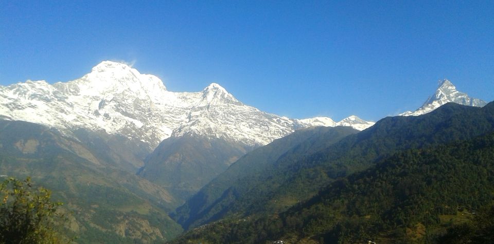 Pokhara: 4 Days Mardi Himal Trek - Frequently Asked Questions