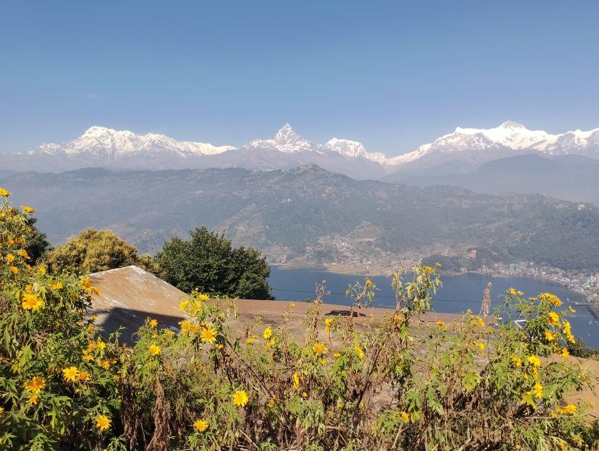 Pokhara: Full Day Private Entire City Tour by Car - Attractions Explored