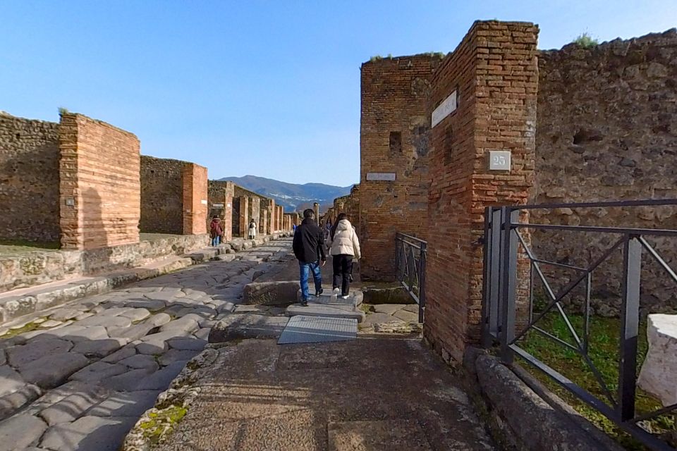 Pompeii: 2 Hours Skip the Line Visit With a Licensed Guide - Customer Reviews and Ratings